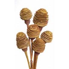 SPIRAL CONES Cream 12" -OUT OF STOCK